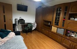 Garsoniera, 24 mp, zona Sensul Vechi