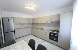 Casa moderna 140 mp, prima inchiriere, Bistrita