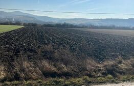 🏞️ Teren extravilan de vânzare – 8.188 mp, drumul principal, utilități în zonă