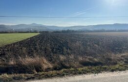 Teren de vânzare Exterior Est - 176954TV | BLITZ Bistriţa | Poza4