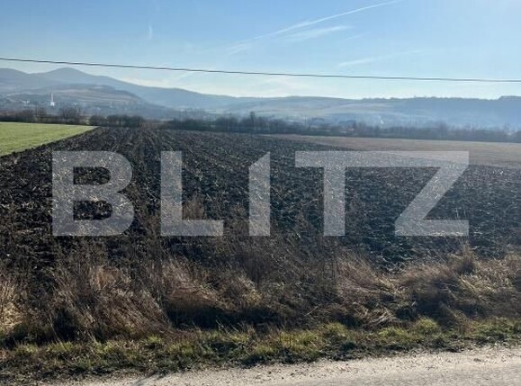 Teren de vânzare Exterior Est - 175311TV | BLITZ Bistriţa | Poza2
