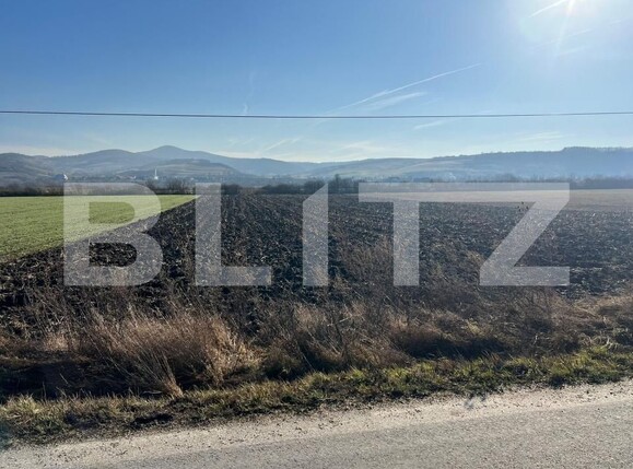 Teren de vânzare Exterior Est - 175311TV | BLITZ Bistriţa | Poza1