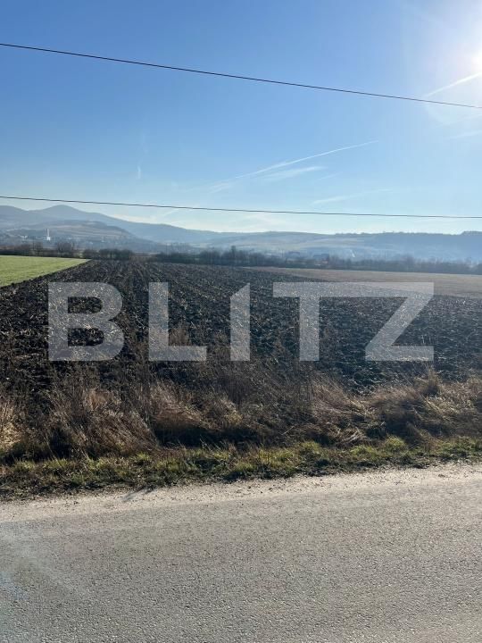 Teren de vânzare Exterior Est - 175311TV | BLITZ Bistriţa | Poza4