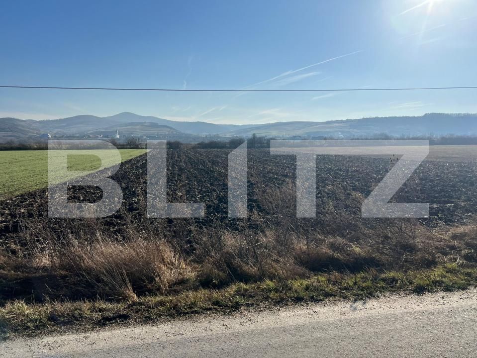 Teren de vânzare Exterior Est - 175311TV | BLITZ Bistriţa | Poza3