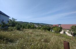 Teren intravilan 25 ari, zona Valea Sigmirului