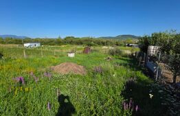 Casa la rosu, 180 mp utili si 870 mp teren, zona Valea Rusului