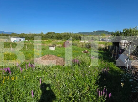 Casa de vânzare 4 camere Nord - 175436CV | BLITZ Bistriţa | Poza5