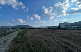 Oportunitate investiție: 56 ari în zona industrială, acces din principală