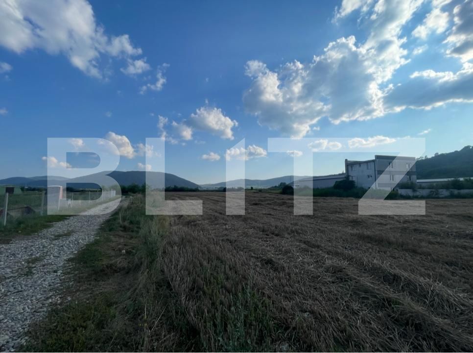 Teren de vânzare Exterior Sud - 175508TV | BLITZ Bistriţa | Poza2