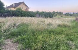 Oportunitate Rară – 15,5 Ari de Liniște și Natură