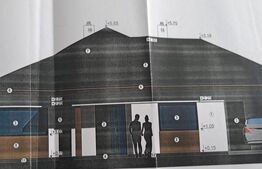 Casa pe 10 ari Viisoara 