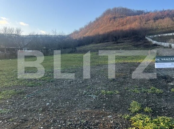 Teren de vânzare Viișoara - 175605TV | BLITZ Bistriţa | Poza2