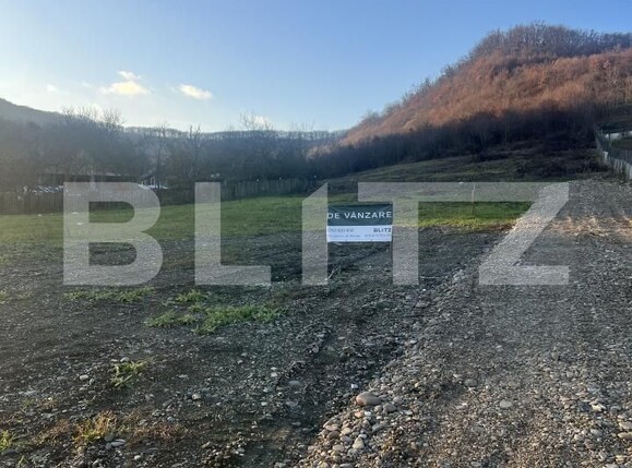Teren de vânzare Viișoara - 175605TV | BLITZ Bistriţa | Poza3