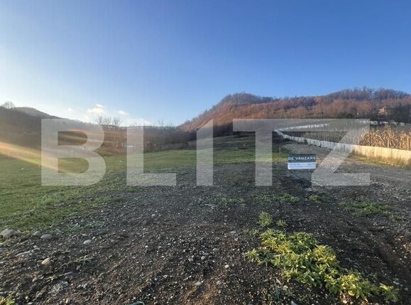 Teren de vânzare Viișoara - 175605TV | BLITZ Bistriţa | Poza1