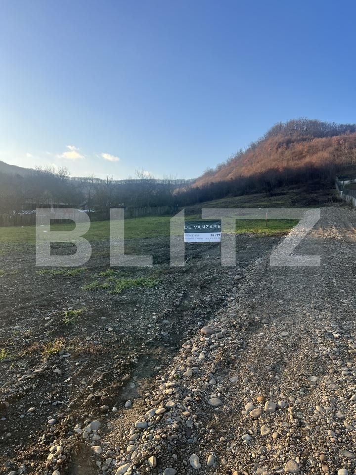 Teren de vânzare Viișoara - 175605TV | BLITZ Bistriţa | Poza3