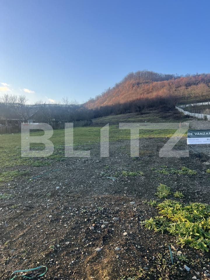 Teren de vânzare Viișoara - 175605TV | BLITZ Bistriţa | Poza2