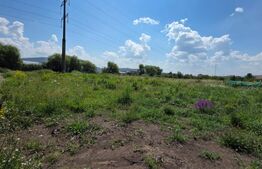 Oportunitate! Teren extravilan de 16 Ari – Ideal pentru Investiție