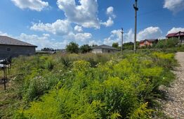 Teren de vânzare Nasaud - 176908TV | BLITZ Bistriţa | Poza5