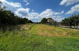 Teren intravilan de vânzare – 1.000 mp | Localitatea Unirea