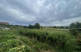 Teren intravilan in doar 10m de la DN17 – perfect pentru casă