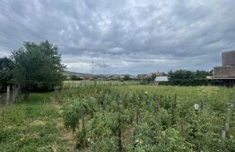 Teren intravilan in doar 10m de la DN17 – perfect pentru casă