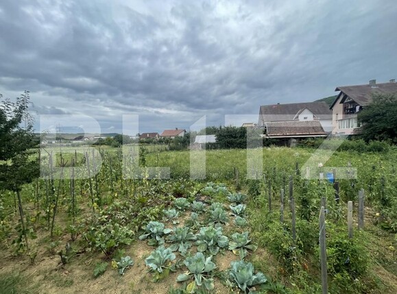 Teren de vânzare Viișoara - 175858TV | BLITZ Bistriţa | Poza3