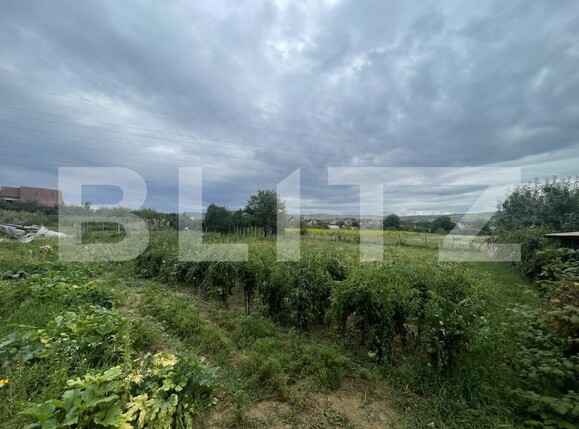 Teren de vânzare Viișoara - 175858TV | BLITZ Bistriţa | Poza1