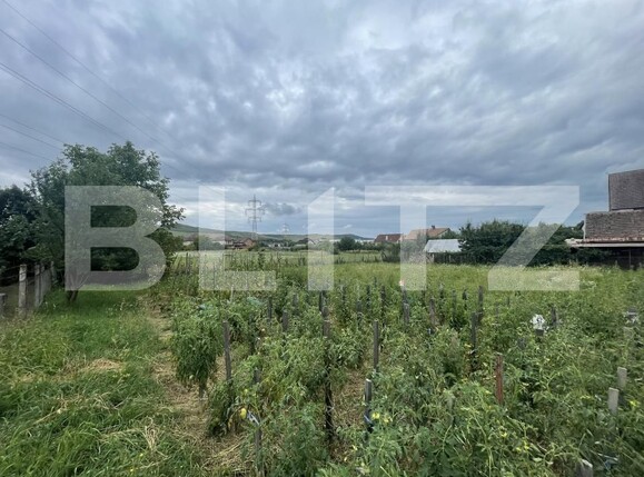 Teren de vânzare Viișoara - 175858TV | BLITZ Bistriţa | Poza2