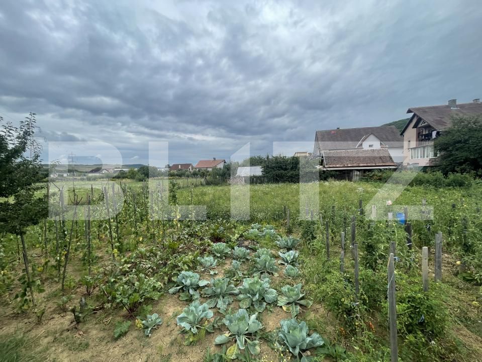 Teren de vânzare Viișoara - 175858TV | BLITZ Bistriţa | Poza3