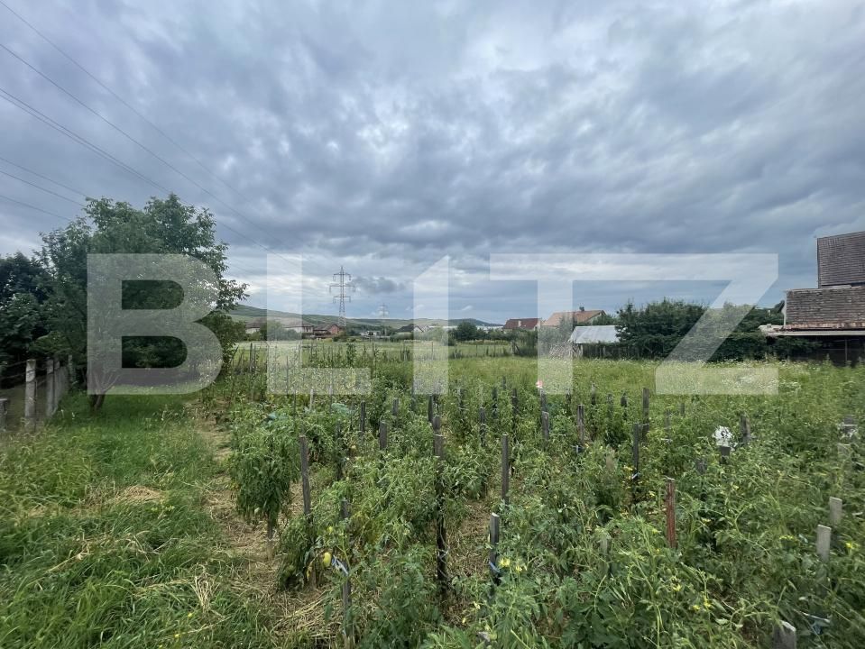 Teren de vânzare Viișoara - 175858TV | BLITZ Bistriţa | Poza2