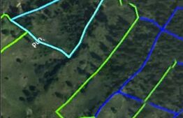 Padure 1,42 hectare in Poiana Ilvei