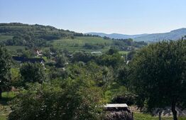 Casă cu potențial deosebit, 172 m² utili, teren 500 m², sat Buza