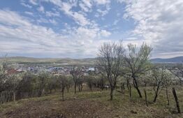 Teren intravilan Viisoara cu panorama asupra orasului. 3000 euro/ar. 
