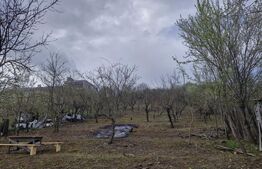 Teren intravilan Viisoara cu panorama asupra orasului- parcele 6.5/8.2 ari