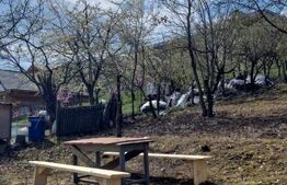 Teren intravilan Viisoara cu panorama asupra orasului. 3000 euro/ar. 