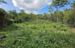 Teren intravilan Viisoara cu panorama asupra orasului. 3000 euro/ar. 