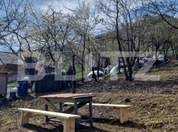 Teren de vânzare Viișoara - 175937TV | BLITZ Bistriţa | Poza4