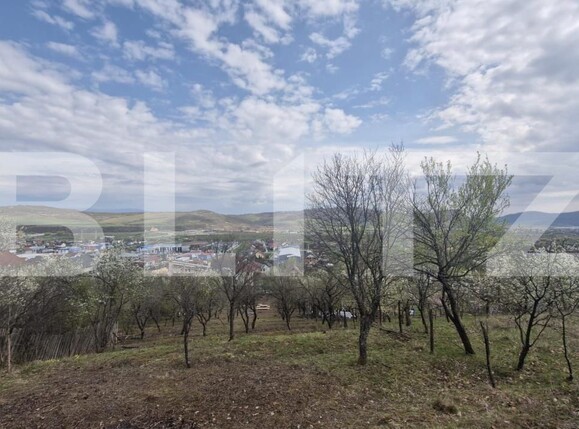 Teren de vânzare Viișoara - 175937TV | BLITZ Bistriţa | Poza3