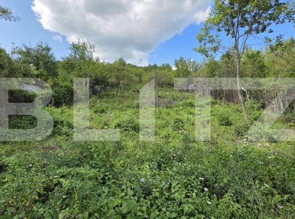 Teren de vânzare Viișoara - 175937TV | BLITZ Bistriţa | Poza4