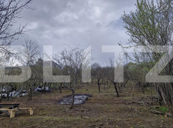 Teren de vânzare Viișoara - 175937TV | BLITZ Bistriţa | Poza1