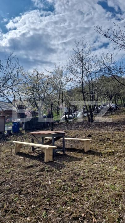 Teren de vânzare Viișoara - 175937TV | BLITZ Bistriţa | Poza4