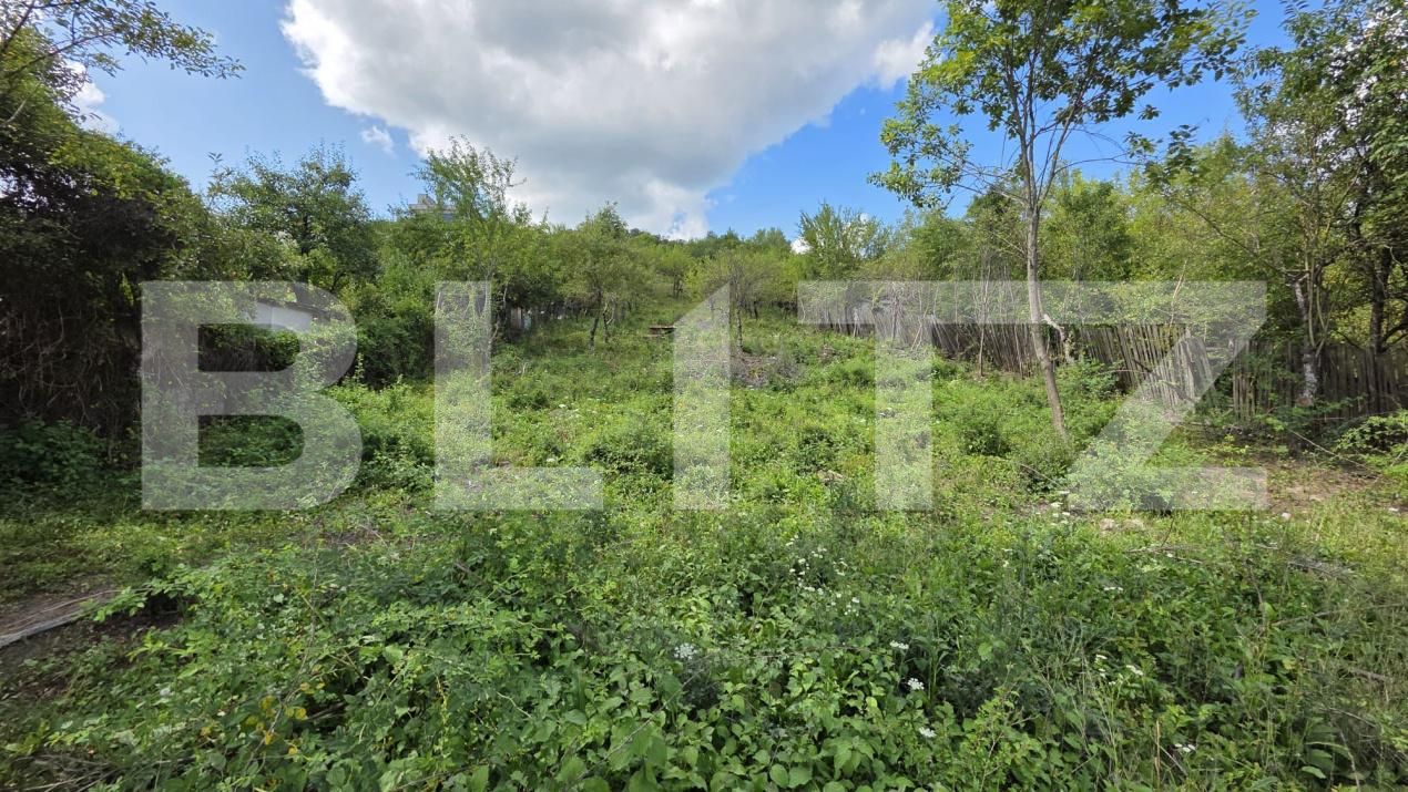 Teren de vânzare Viișoara - 175937TV | BLITZ Bistriţa | Poza4