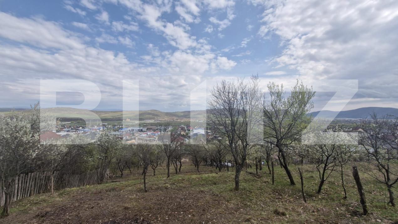 Teren de vânzare Viișoara - 175937TV | BLITZ Bistriţa | Poza2