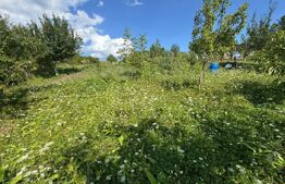 🏡 Casă de vânzare în Tărpiu, la doar 10 km de Bistrița 