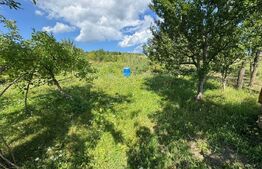 🏡 Casă de vânzare în Tărpiu, la doar 10 km de Bistrița 