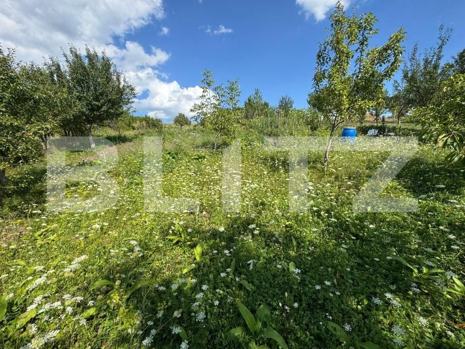 Casa de vânzare 6 camere Vest - 176062CV | BLITZ Bistriţa | Poza11