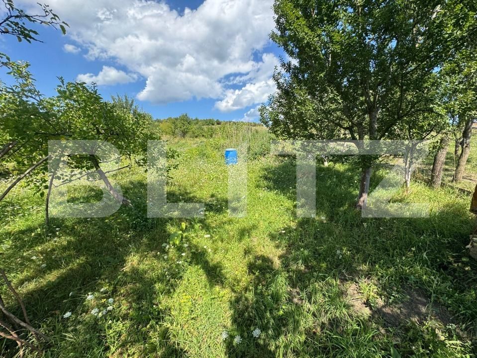 Casa de vânzare 6 camere Vest - 176062CV | BLITZ Bistriţa | Poza10