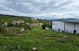 Casa cu 5 camere, 300 mp, teren 17 ari, Valea Rusului