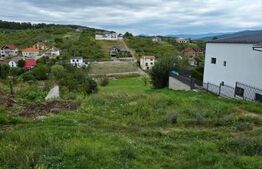 Casa cu 5 camere, 300 mp, teren 17 ari, Valea Rusului