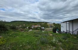 Casa cu 5 camere, 300 mp, teren 17 ari, Valea Rusului